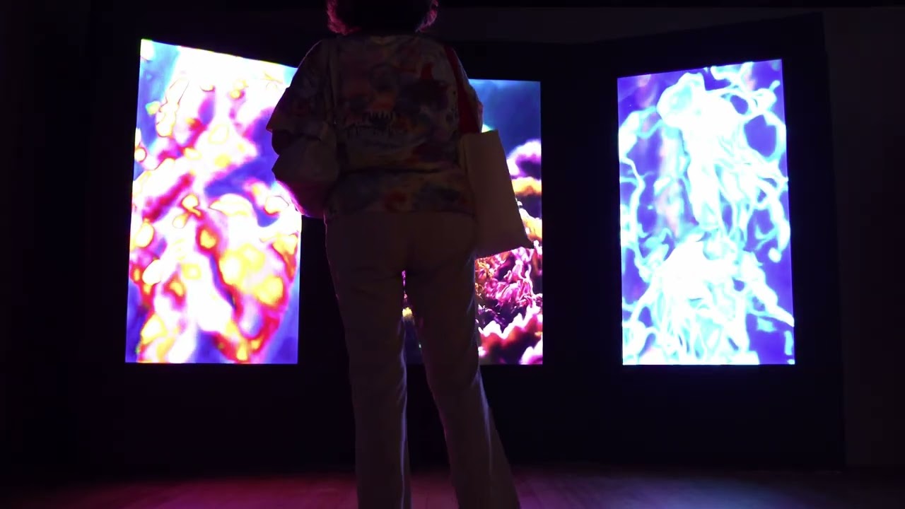 Sopa Primordial — Exposição Década dos Oceanos, CCBB RJ / SP